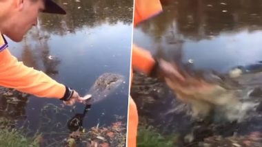 Man Performs Dangerous Stunt With Crocodile, What Happens Next Will Leave You Terrified (Watch Video)